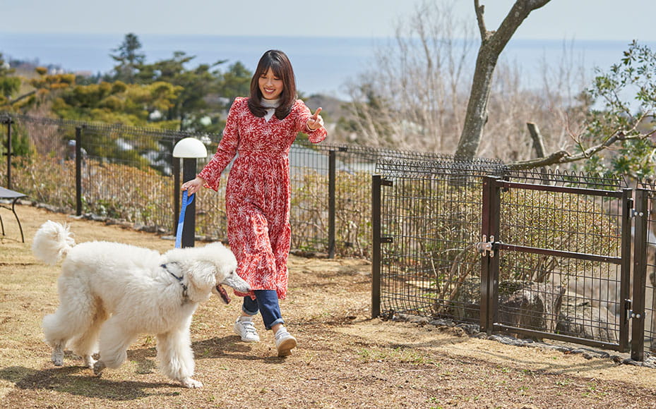 屋外 コミュニティ広場