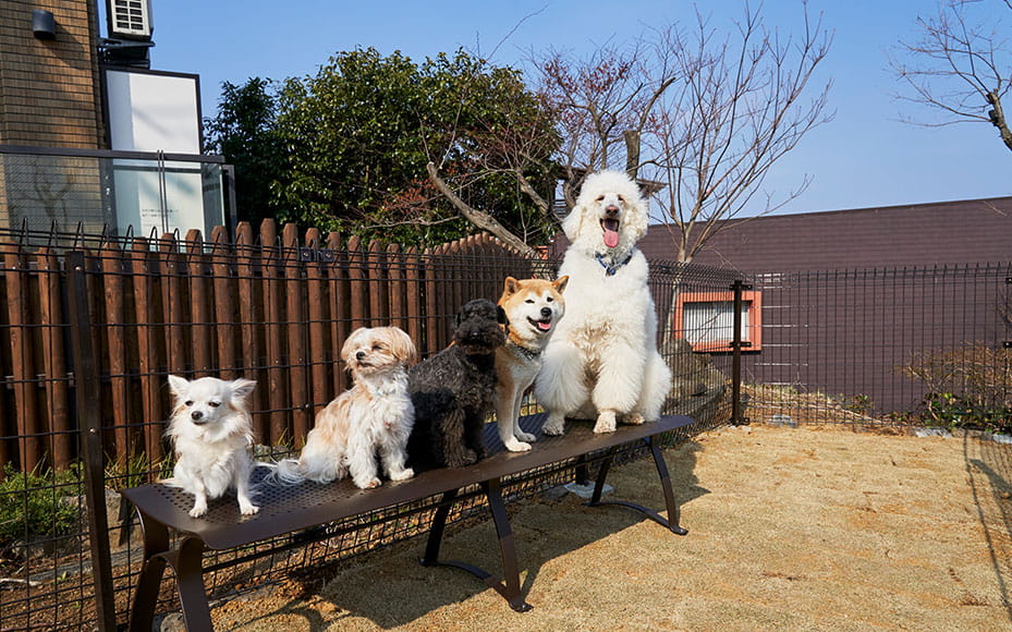 屋外 コミュニティ広場