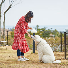 愛犬コミュニティ広場（屋外）