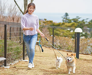 愛犬との旅を充実させる施設