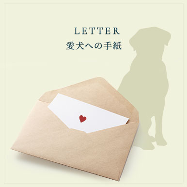 愛犬への手紙