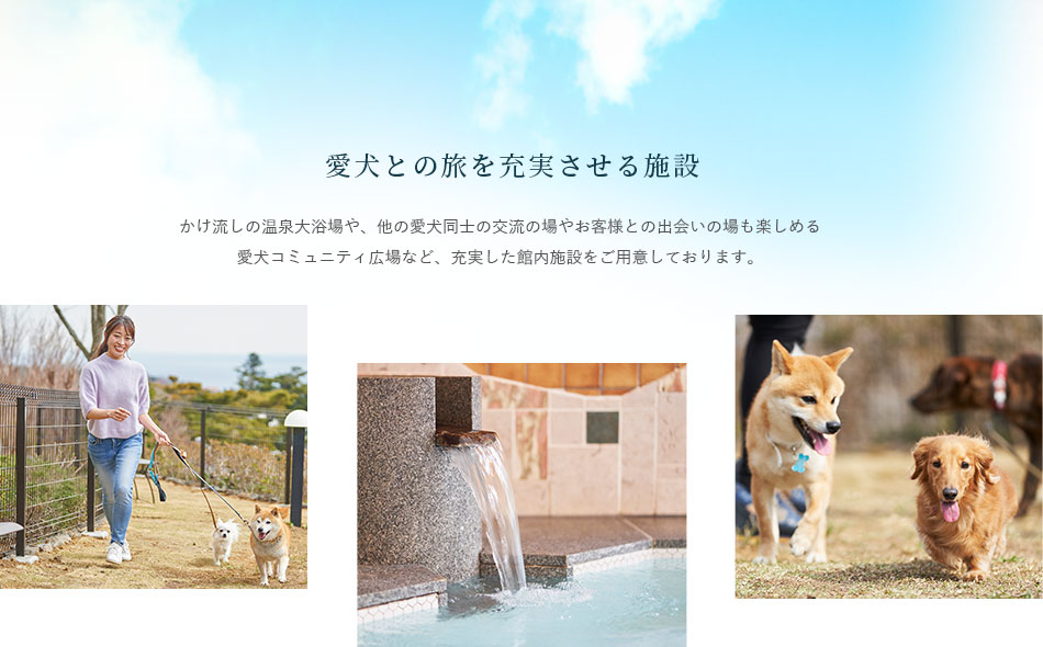 愛犬との旅を充実させる施設