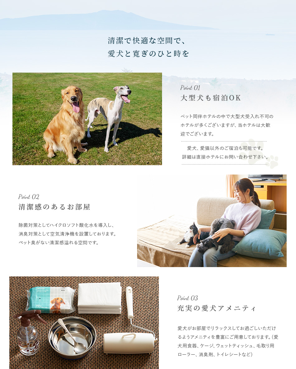 清潔で快適な空間で、愛犬と寛ぎのひと時を