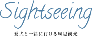 愛犬と一緒に行ける周辺観光