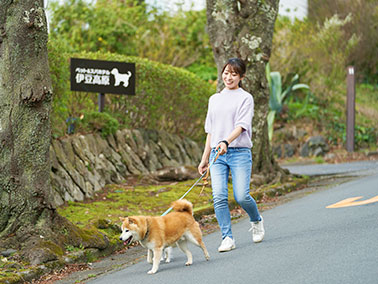 愛犬と一緒に愉しめる施設が充実