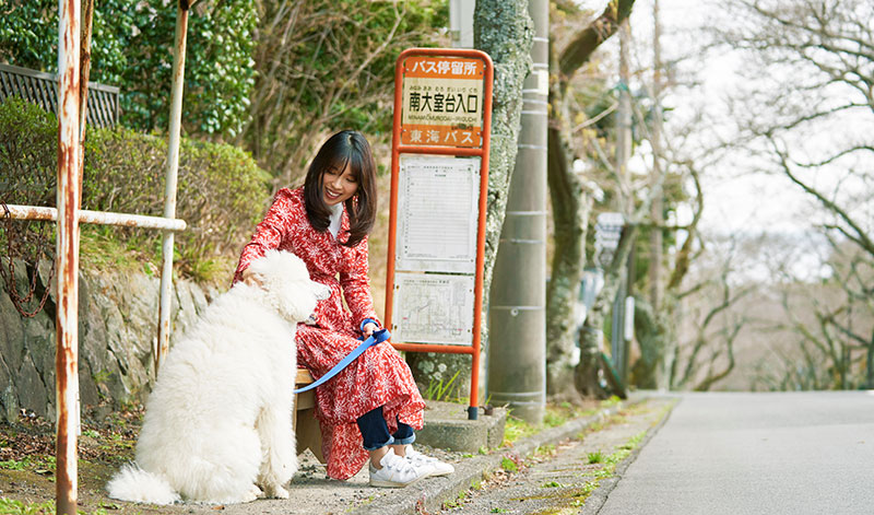 愛犬と一緒に愉しめる施設が充実